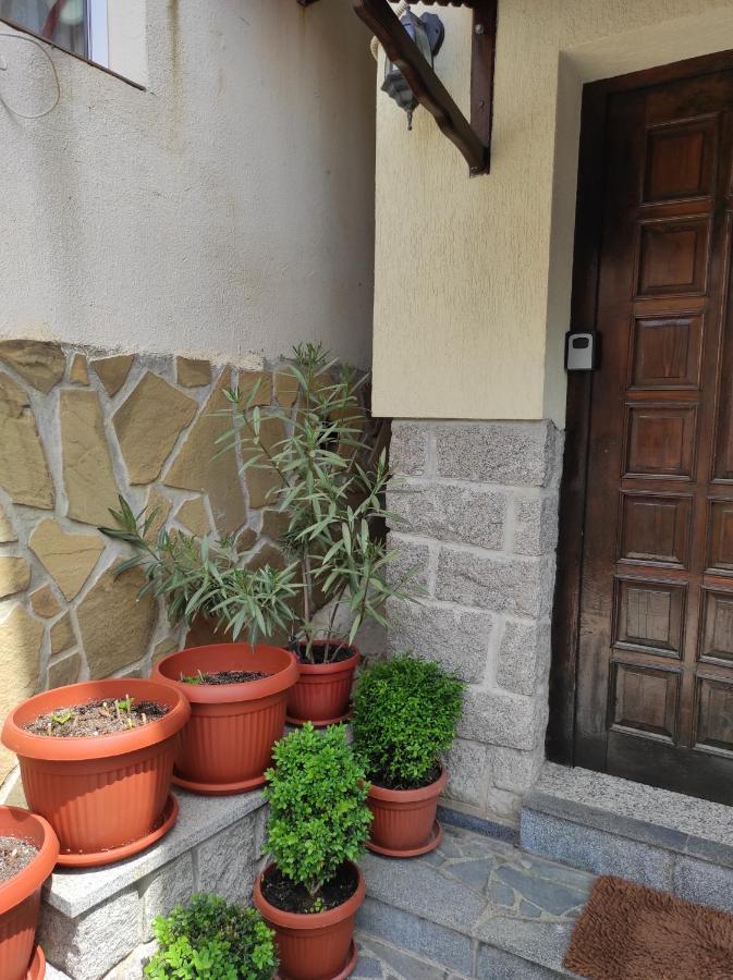 Apartament Рибарска 8 Sozopol Zewnętrze zdjęcie